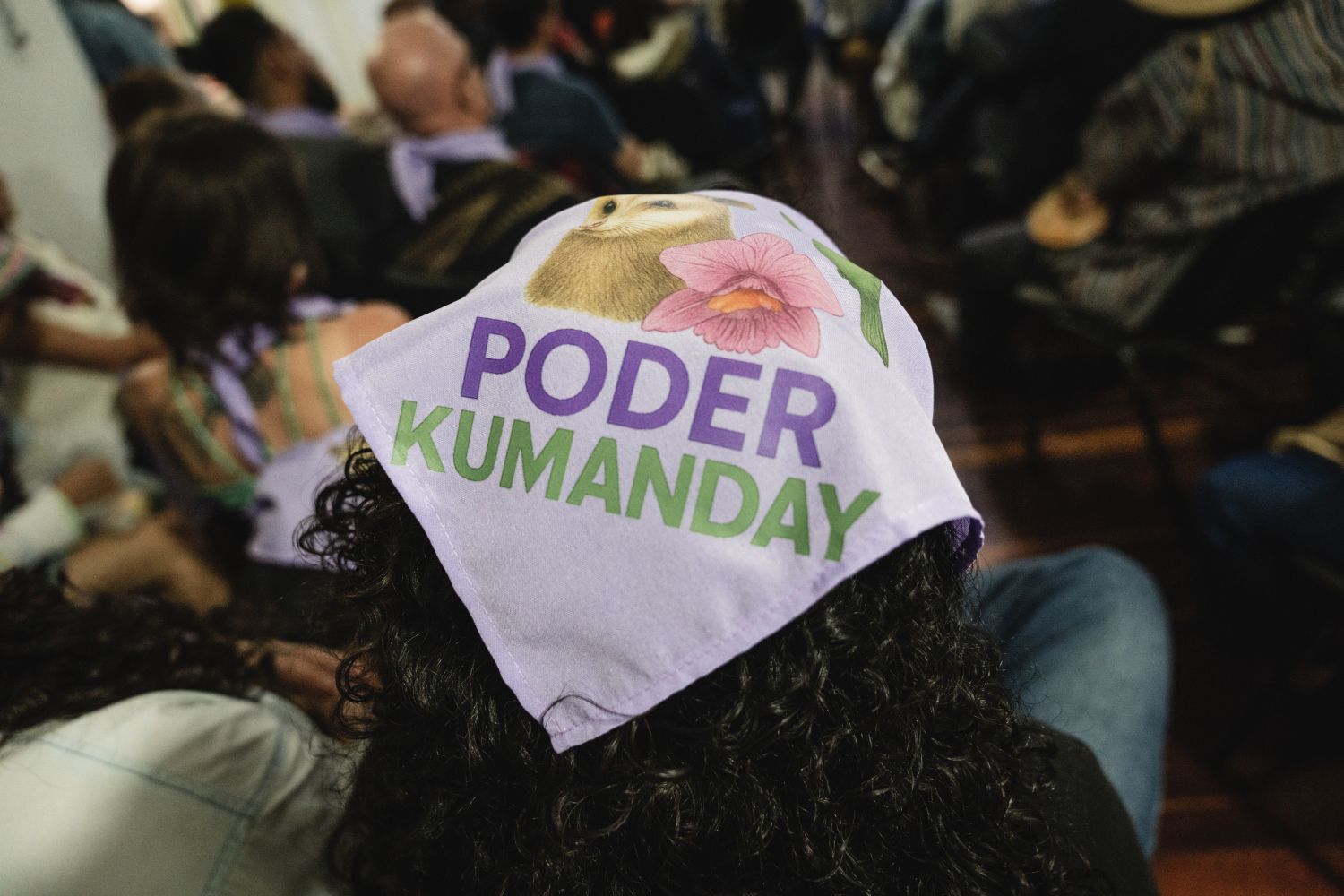 Foto de la campaña 13